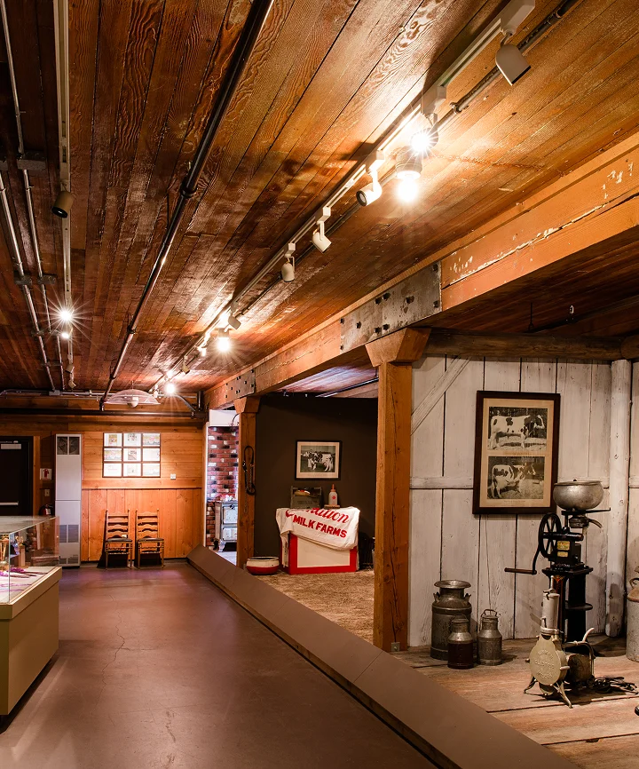 Museum Gallery 5