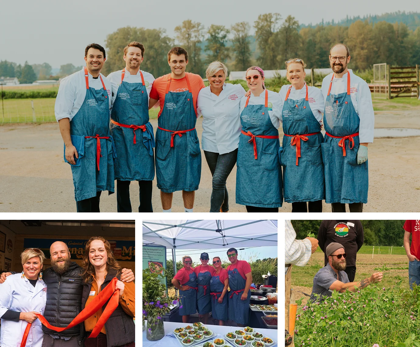 Our Team - Collage