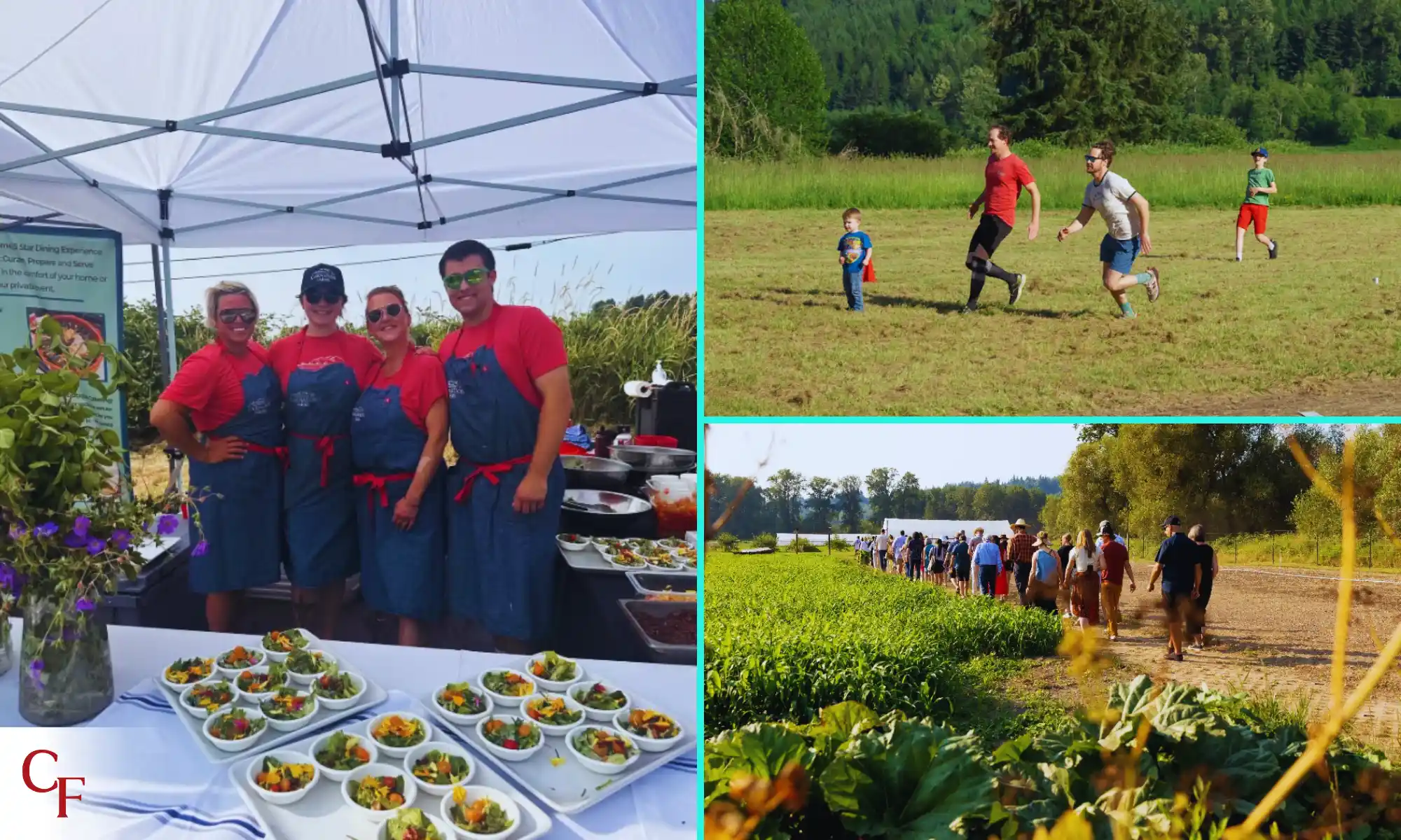 Outdoor activities at Carnation Farms including group games, farm walks, and casual gatherings.