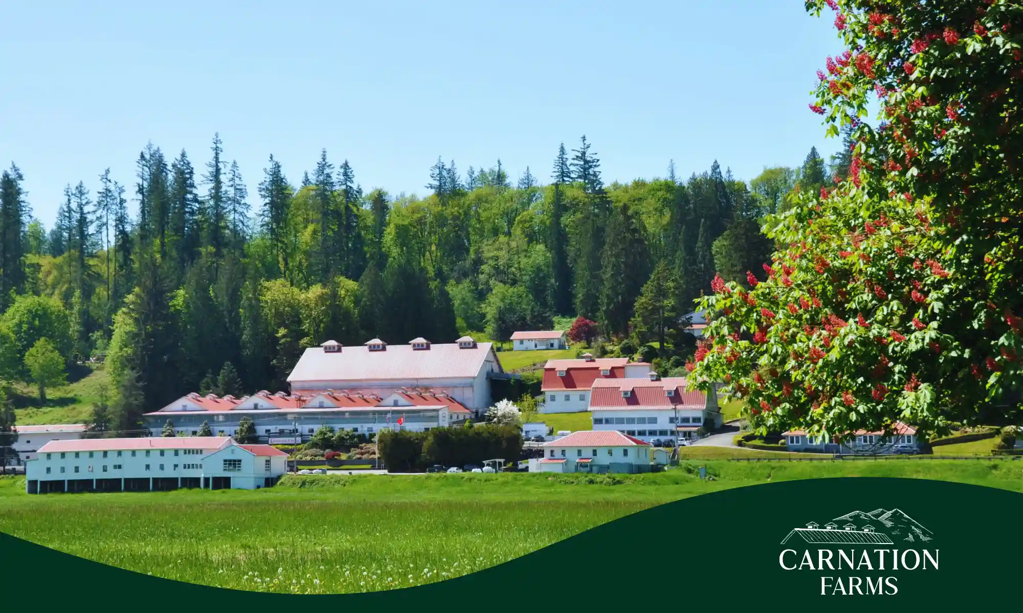 Carnation Farms landscape in Snoqualmie Valley.
