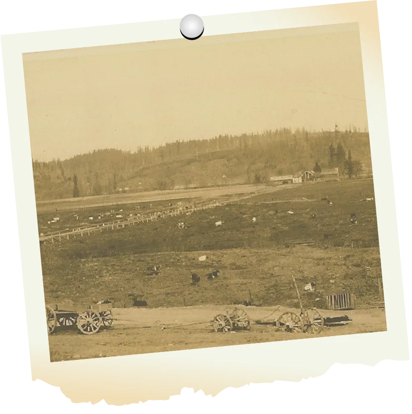 Timeline 1908