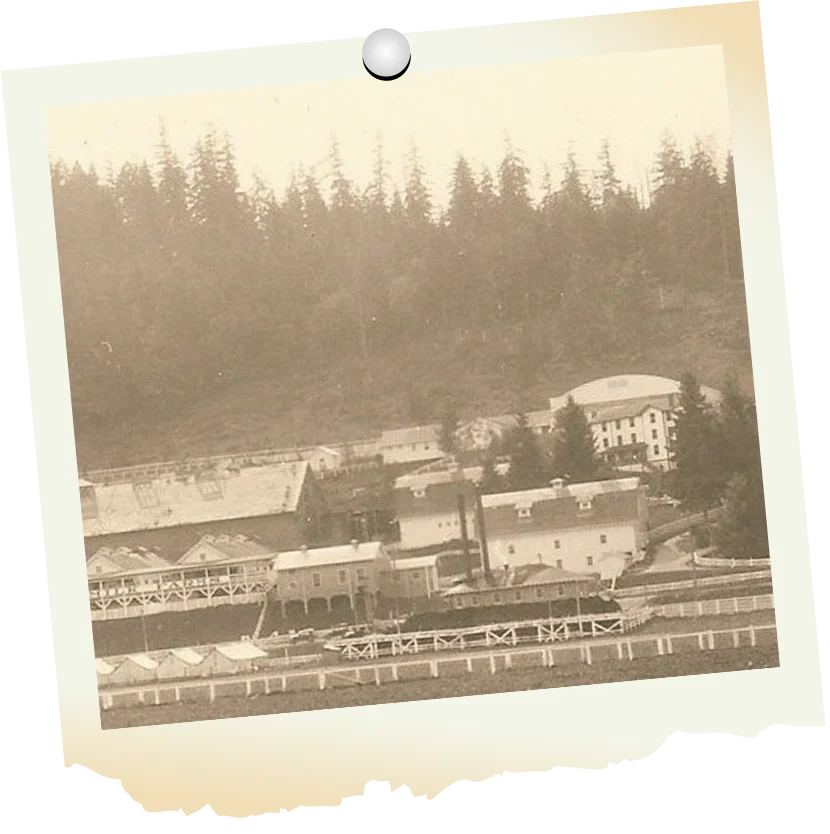 Timeline 1912