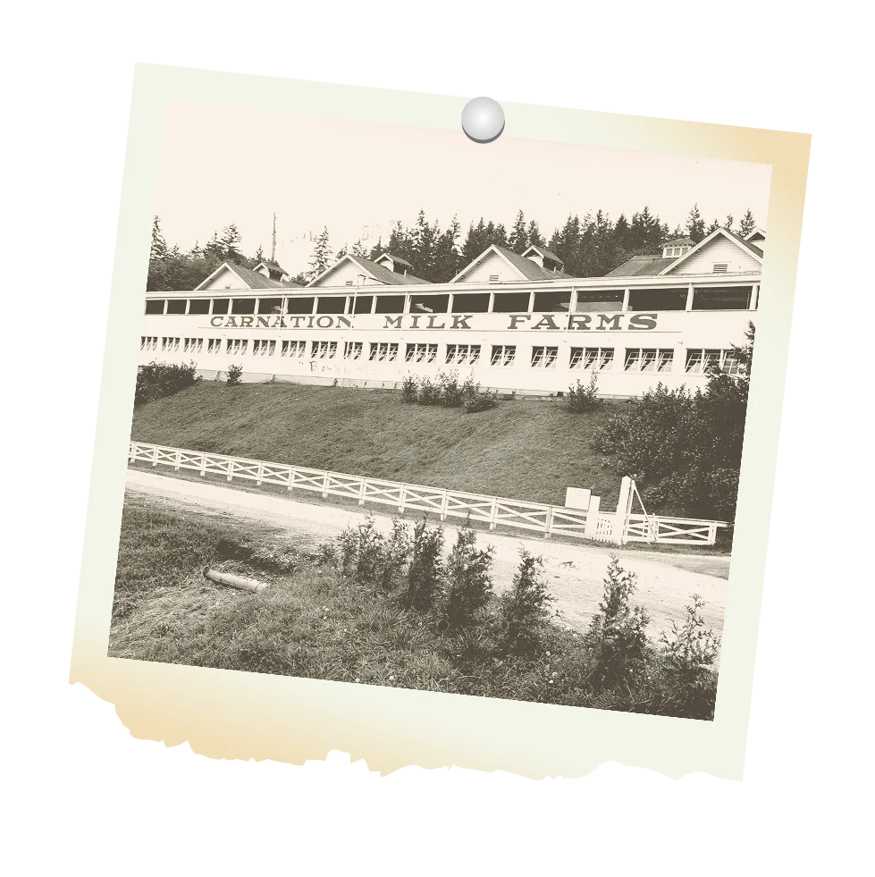 Timeline 1924